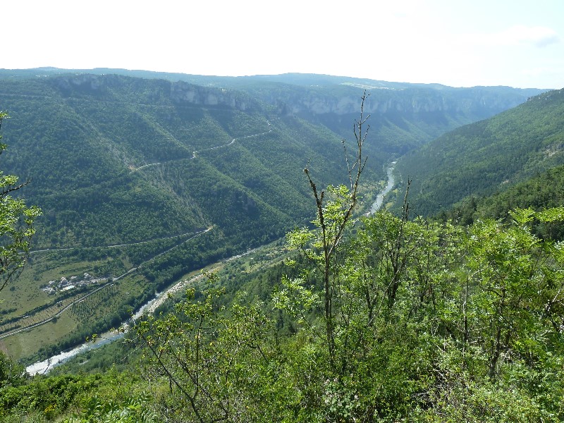 ../Images/2012-07-10-10h08m36 .jpg